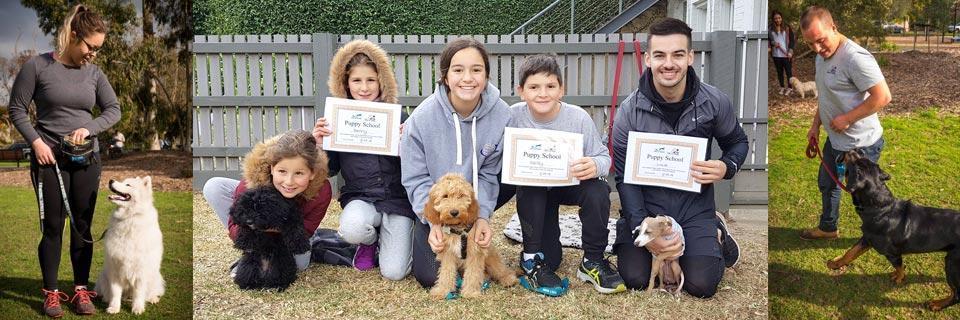 Positive K9 Training Puppy School