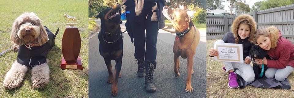 Outcomes of our 5 Star Puppy Package