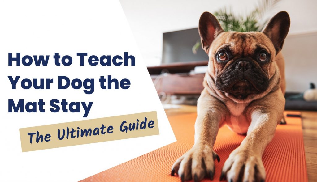 dog mat stay training
