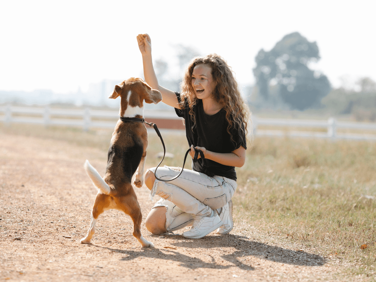 positive reinforcement dog training routines