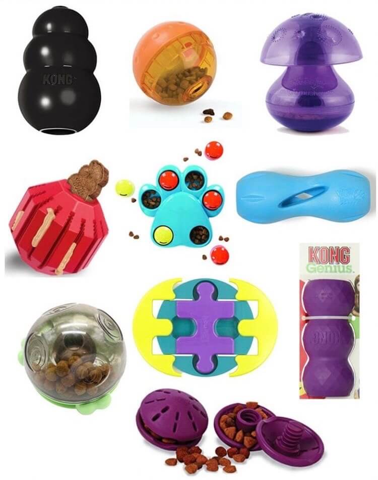 Dog puzzle toys