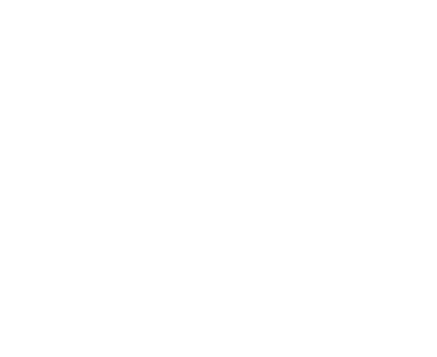 pk9 logo