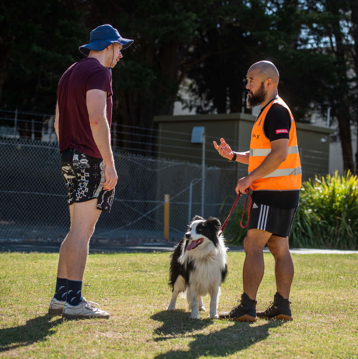 dog trainer giving advice in a group obedience class held in Kew